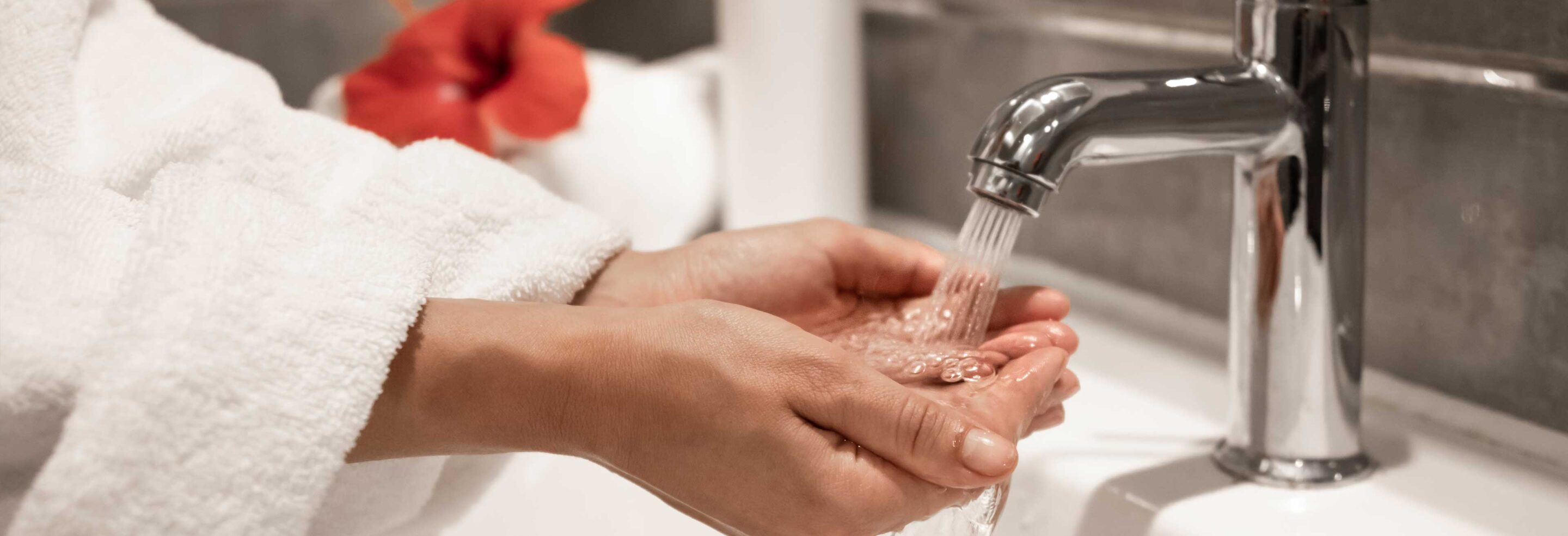 Sistema Control RDZ España